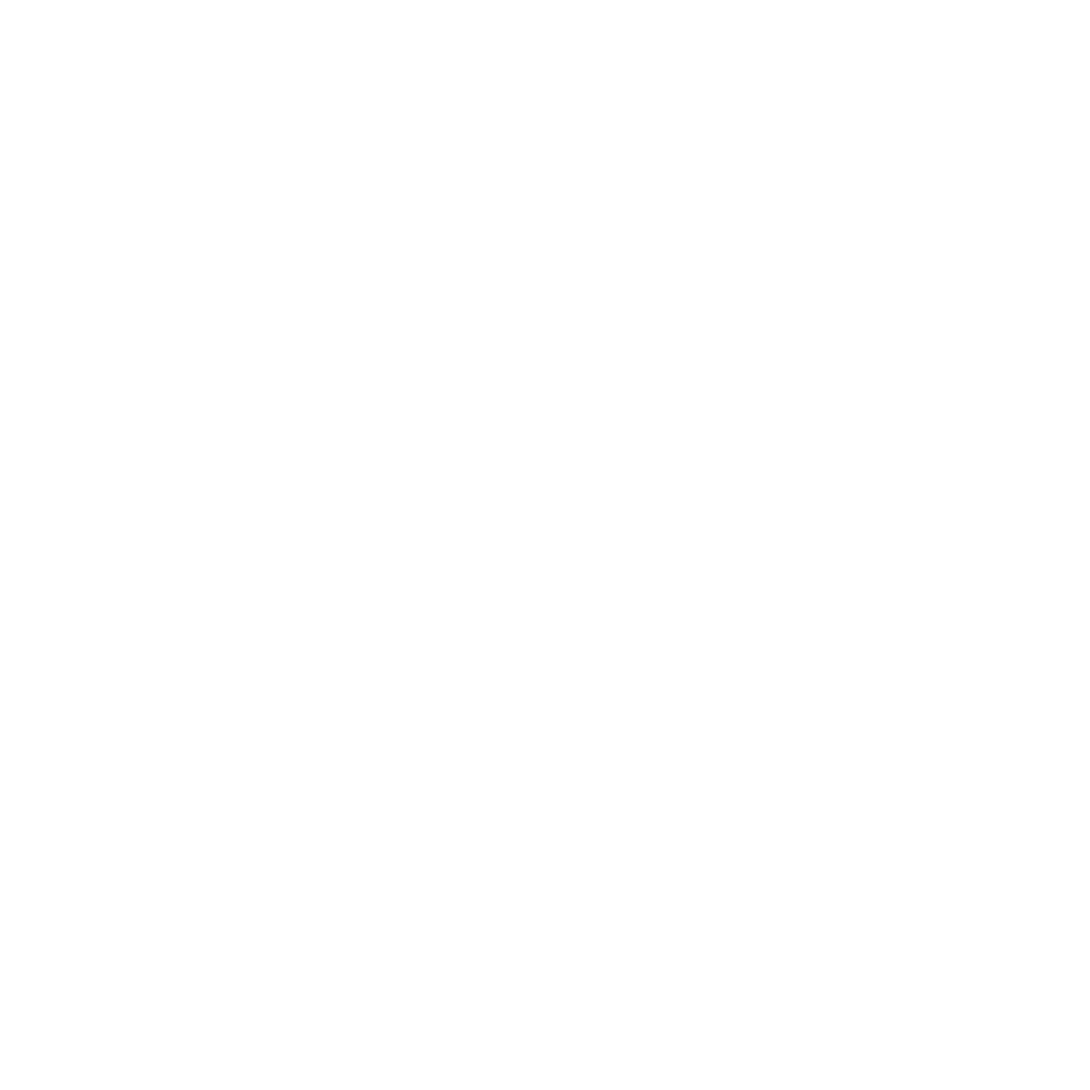 PRREPORT_Logo